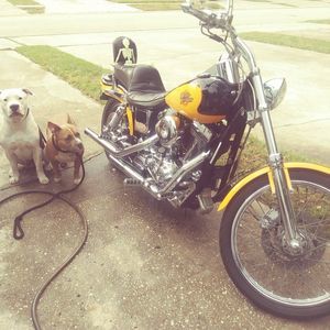 Meet your Posher, Doug